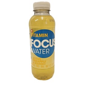 Focus water, Ananas & Mangue