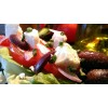 Salade Feta Fresh moyenne
